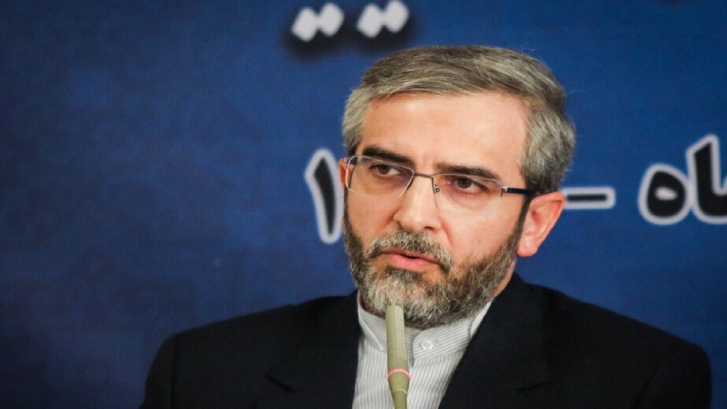 واکنش دبیر ستاد حقوق بشر به ادعای کمیسر سازمان ملل در مورد اقوام ایرانی