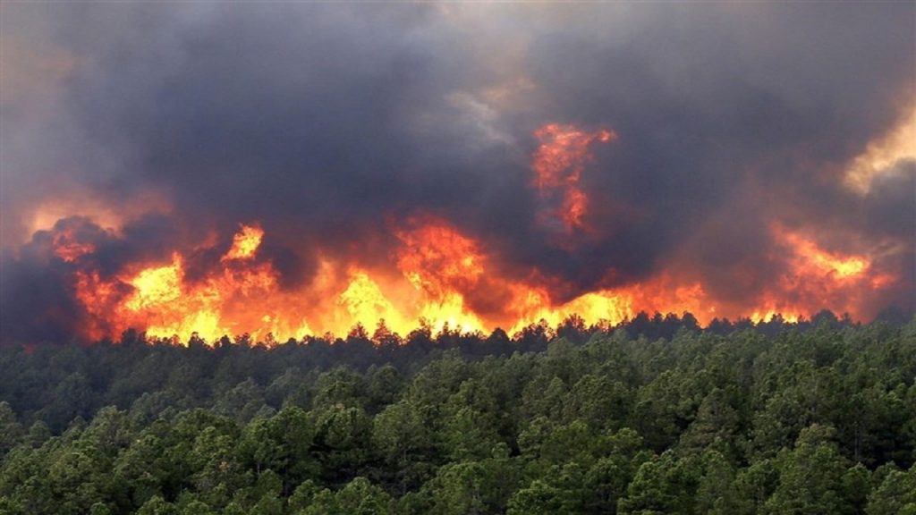 بررسی‌ها برای عمدی یا غیرعمدی بون آتش سوزی «درازنو» ادامه دارد
