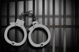۳۸ عضو یک شرکت هرمی در فردیس استان البرز دستگیر شدند