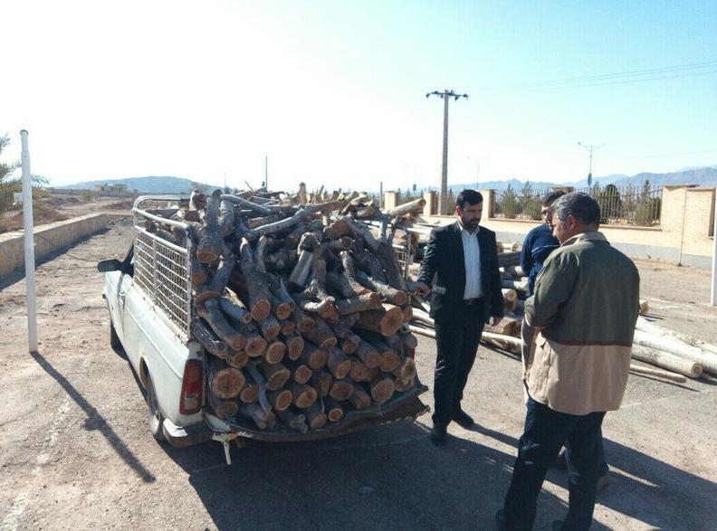 دادستان عمومی و انقلاب شهرستان راور: ۳ خودرو حامل ۳ تن چوب درخت پسته توقیف شد