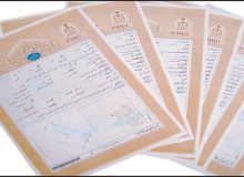 اسناد مالکیت ۶۲۰ هکتار از اراضی کشاورزی در پویش نذر خدمت کارکنان ثبت استان کرمان صادر شد